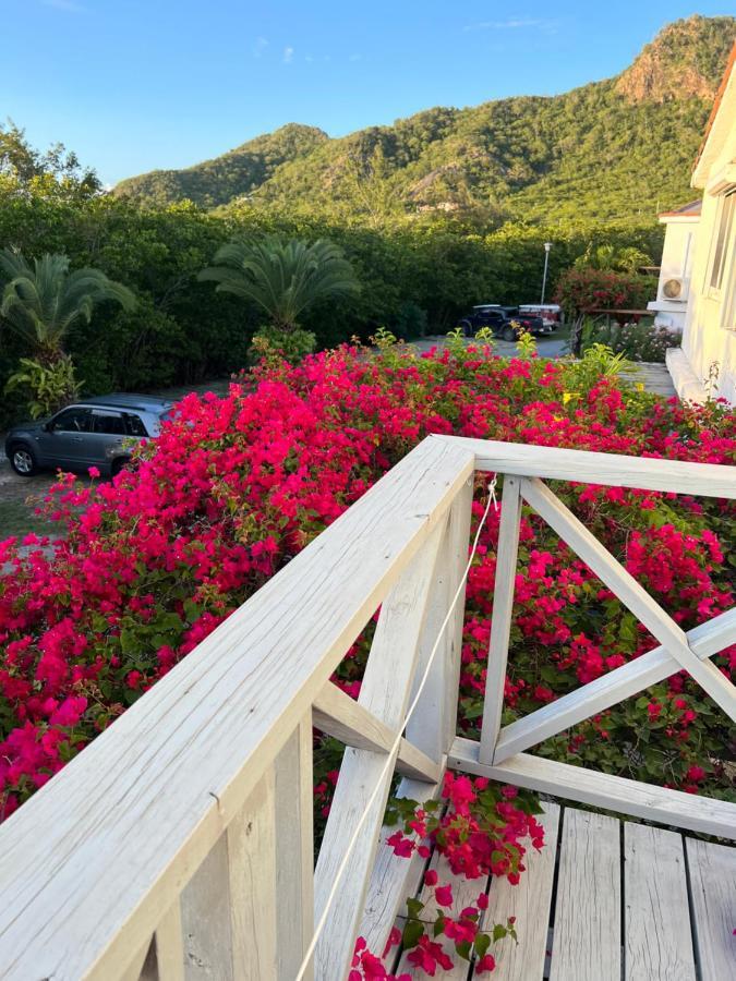 Sunny Villa In The Marina - Excellent Water Views Jolly Harbour Bagian luar foto